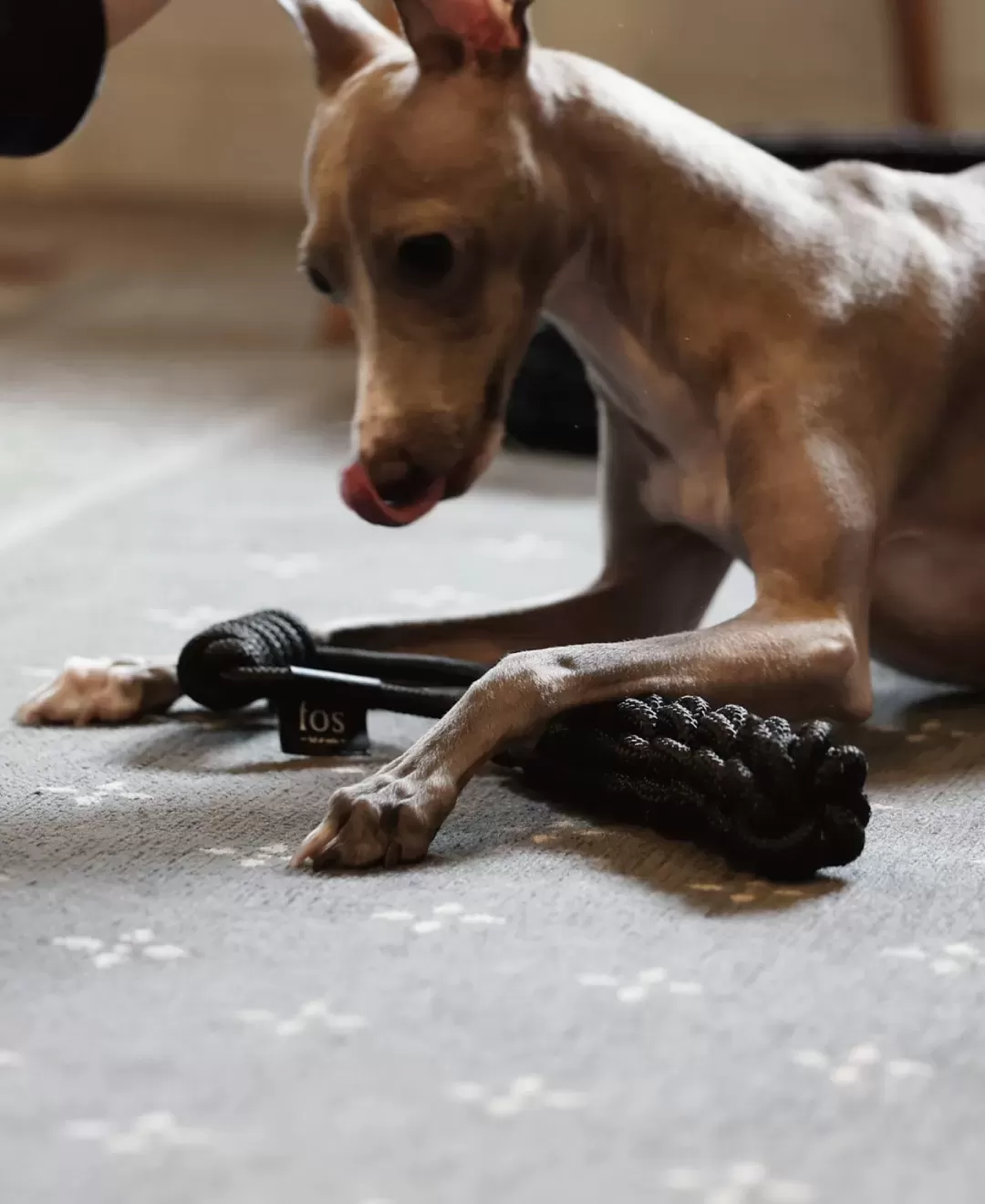 Tough Tug