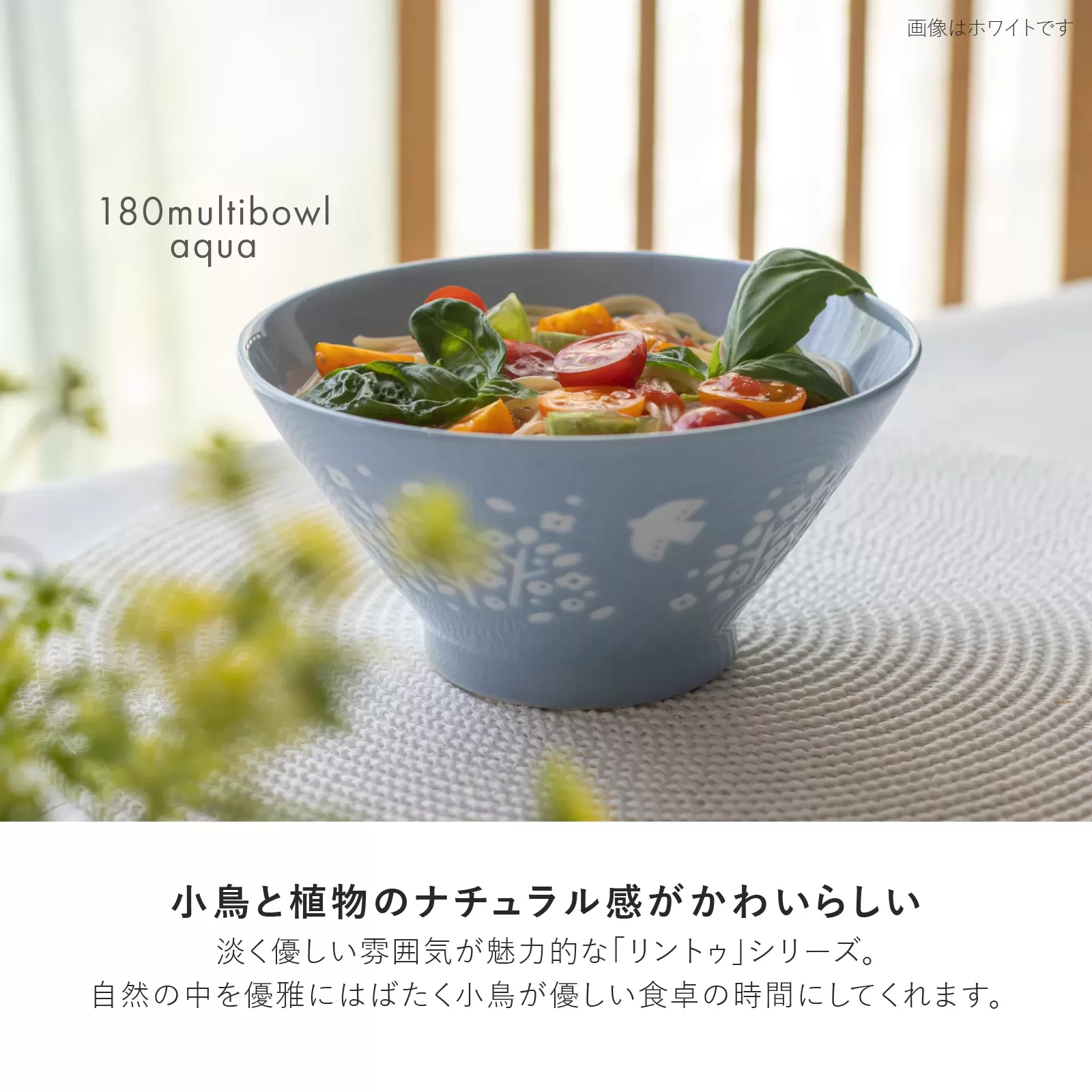 Lintu　マグ