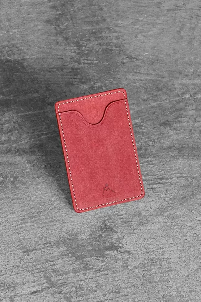 Pass holder 01