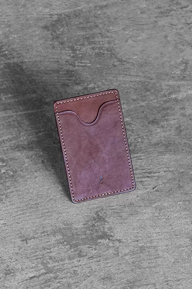 Pass holder 01