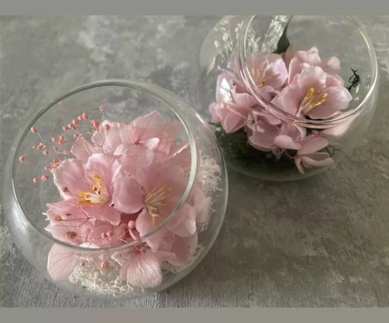 SAKURA GARDEN DOME S