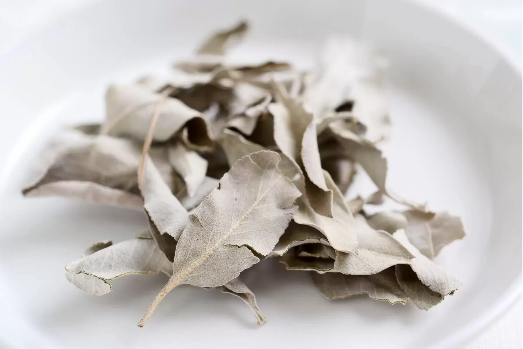 Deep Cleanse White Sage Starter set