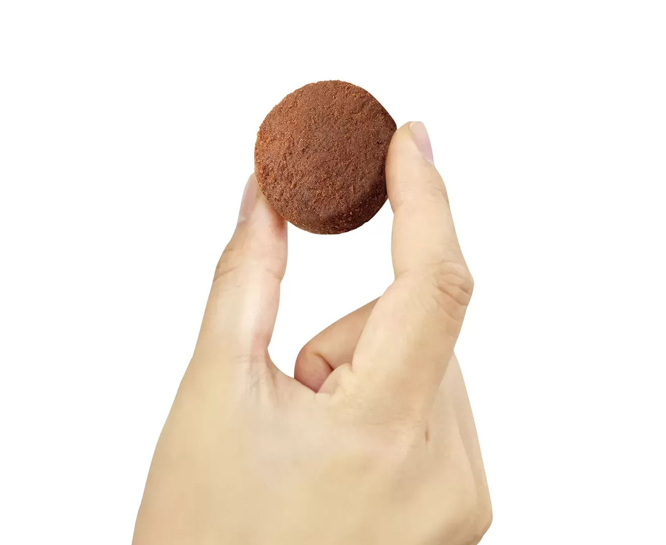 チョコ米粉クッキー