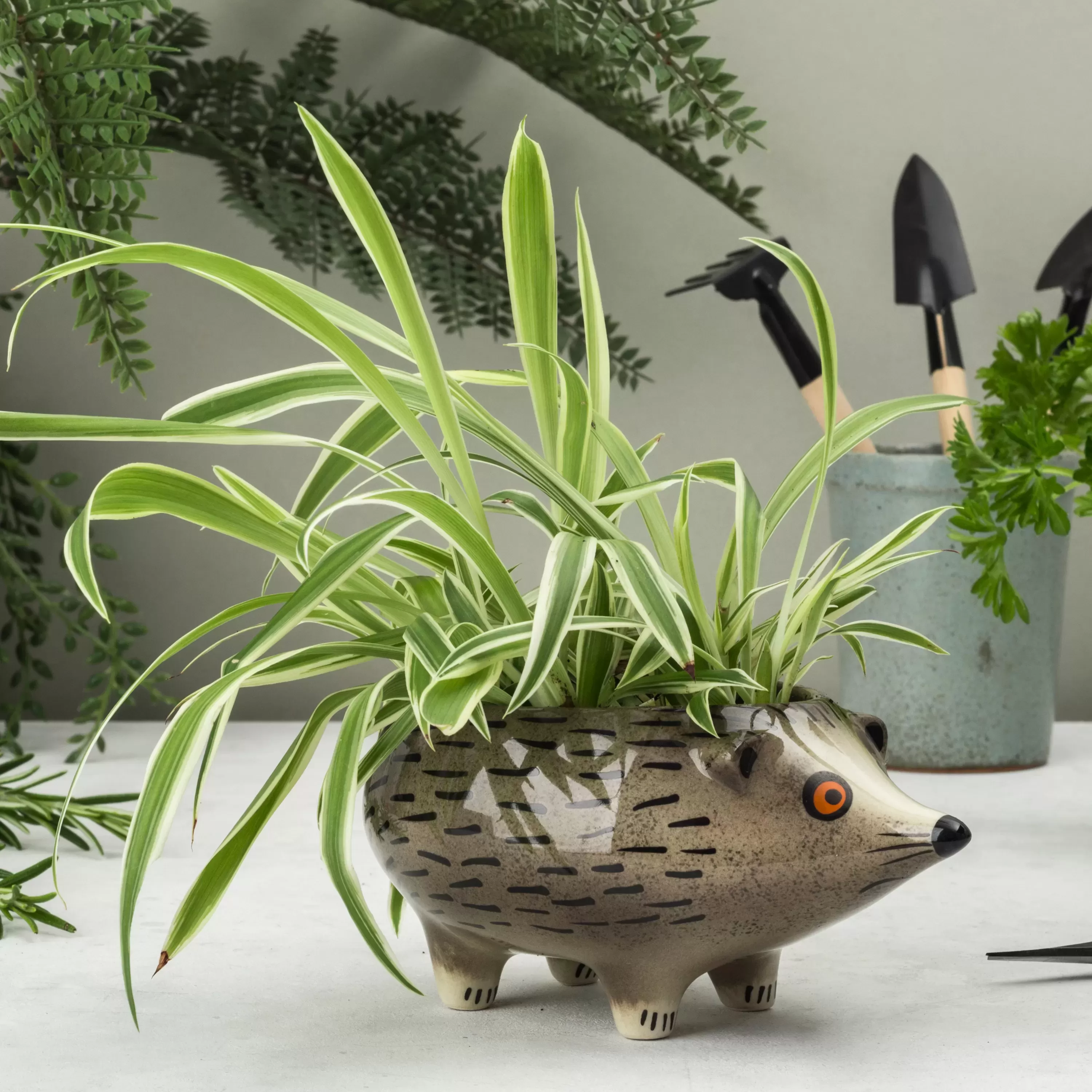 Hannah Turner / Planter Hedgehog（ハリネズミのプランター）