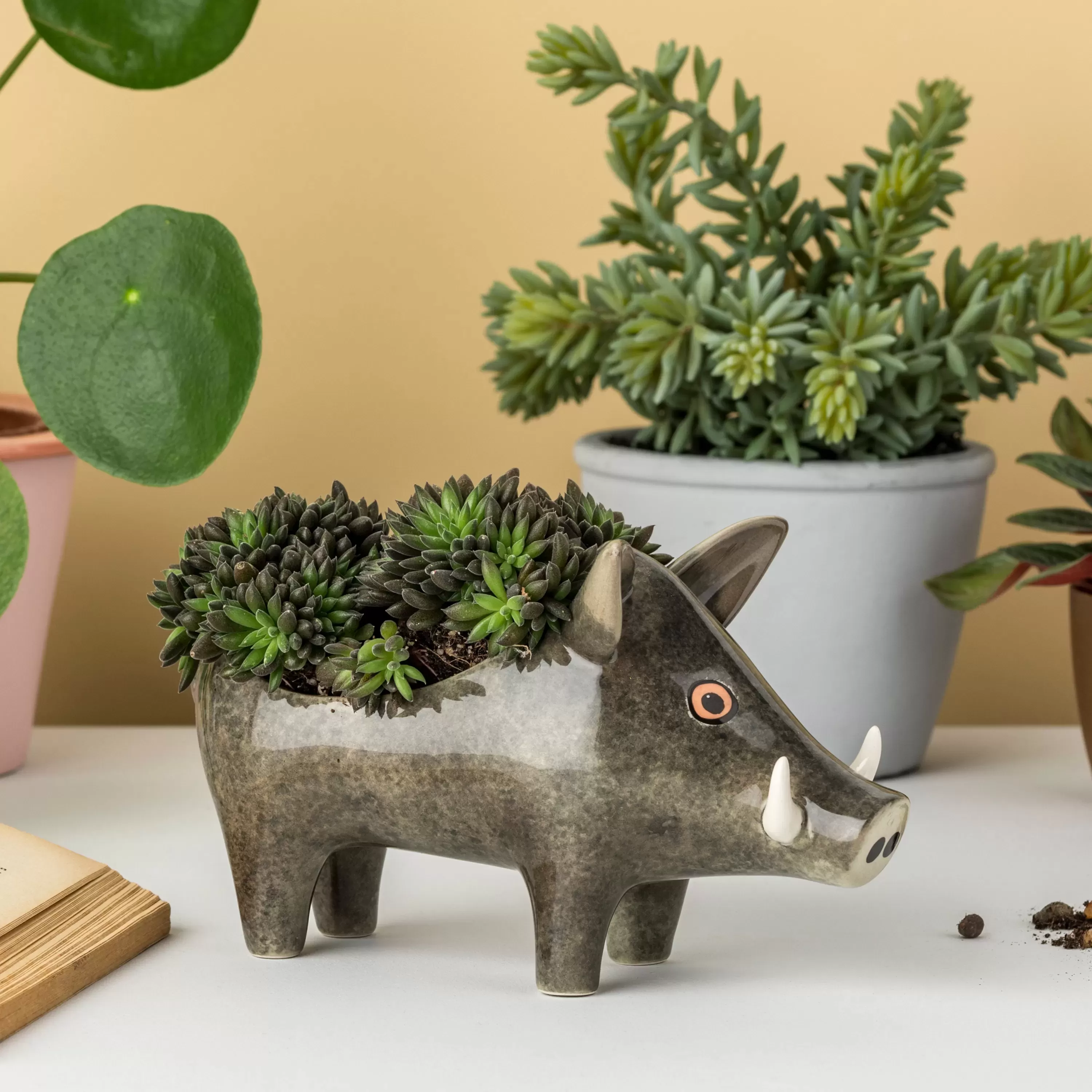 Hannah Turner / Planter Wild Boar（イノシシのプランター）