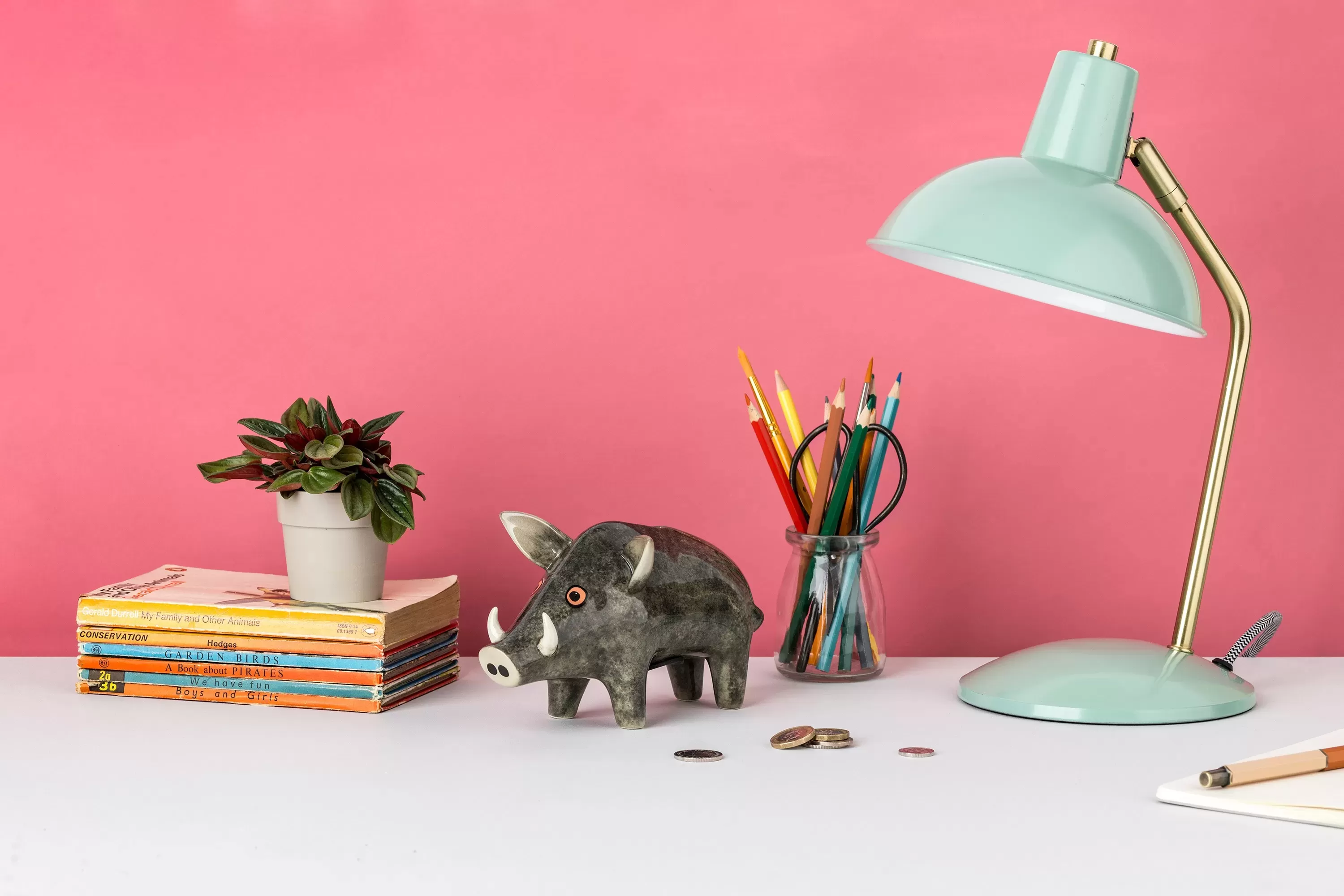 Hannah Turner / Money box Wild Boar（猪の貯金箱）