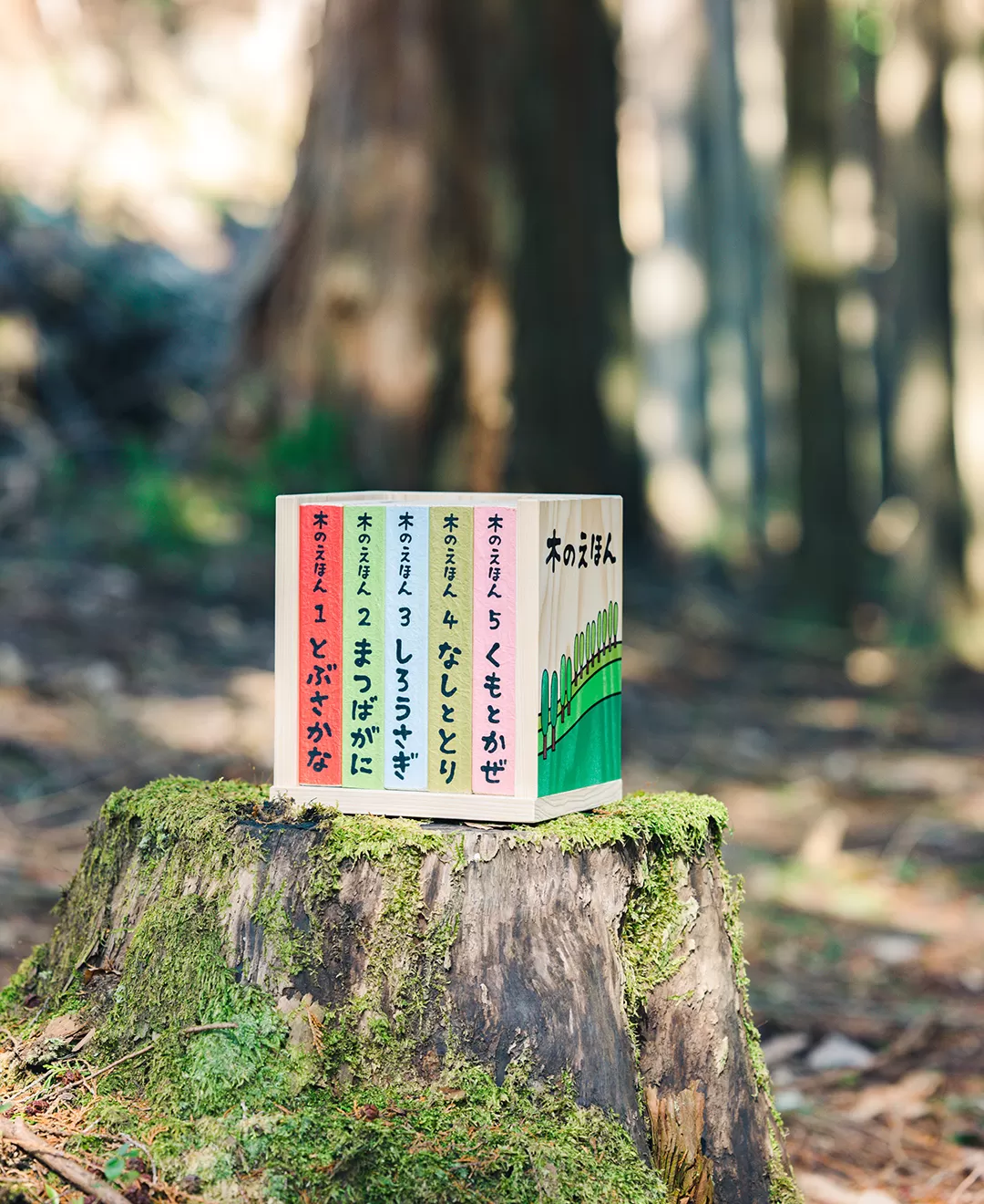 木のえほん1〜5巻セット（専用木箱付き）