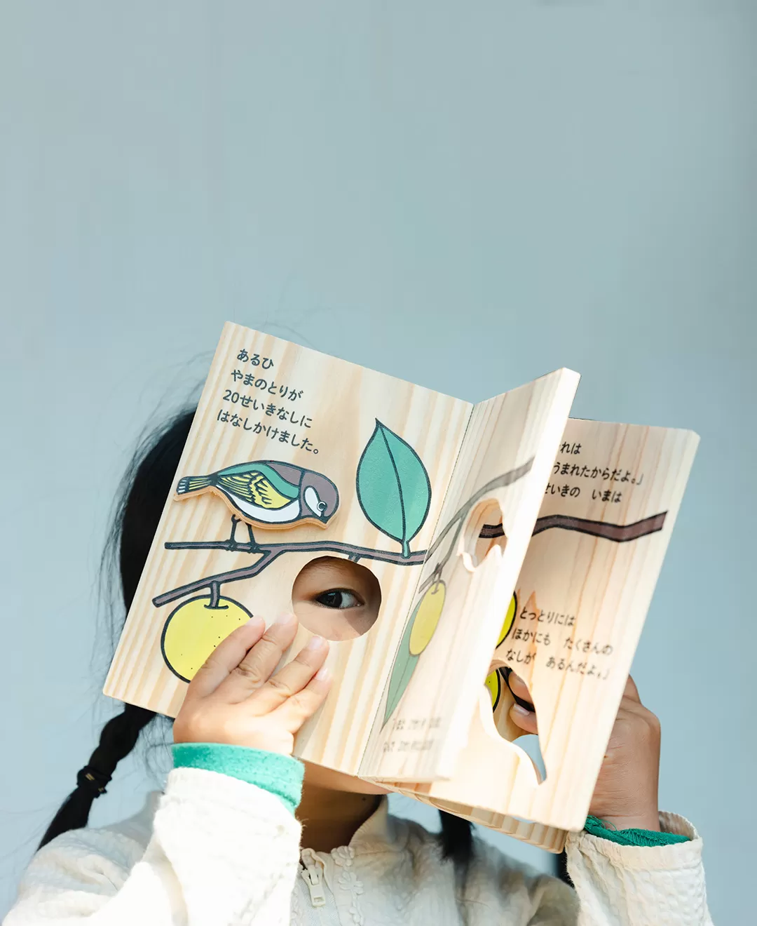 木のえほん1〜5巻セット（専用木箱付き）