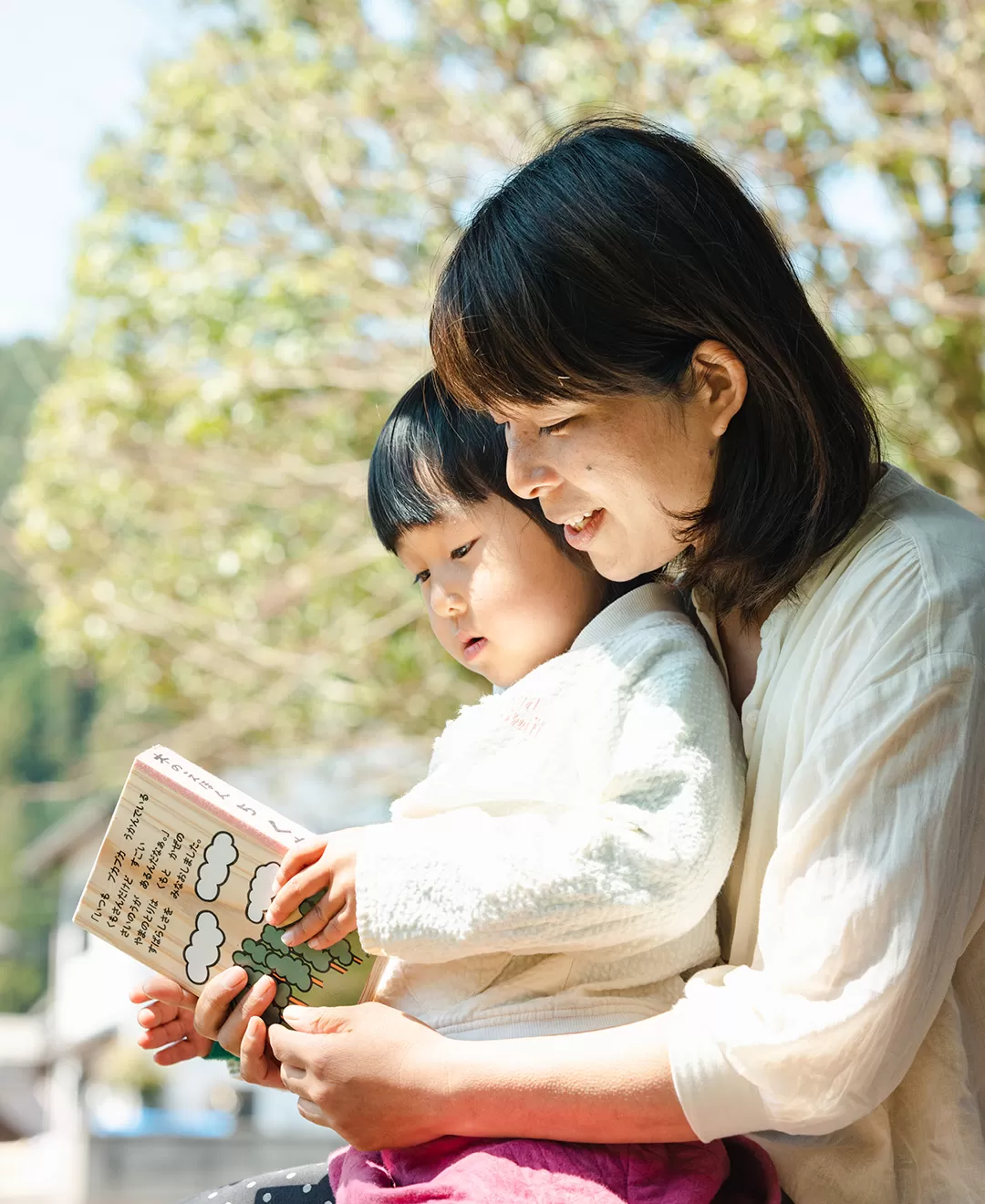 木のえほん1〜5巻セット（専用木箱付き）