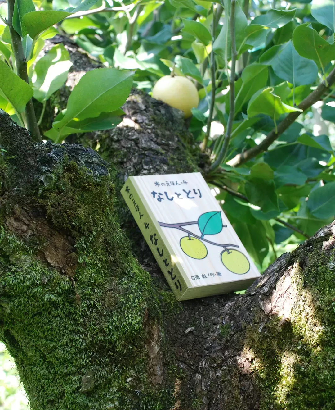 木のえほん 4巻　なしととり